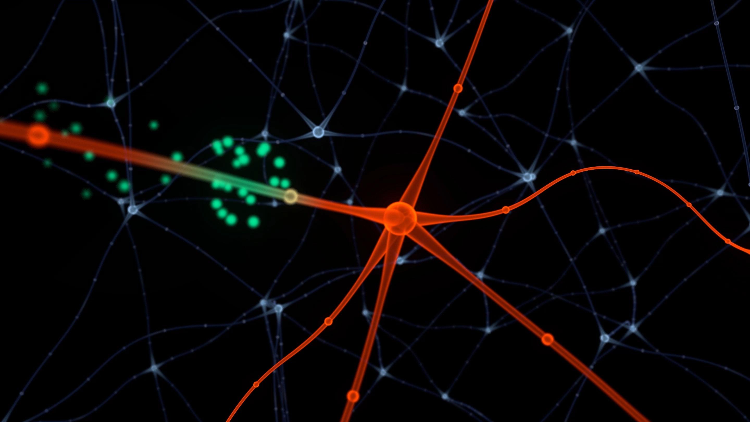 Neural Pathways Governing Fine Detail Vision Pinpointed